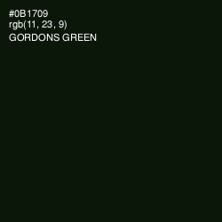 #0B1709 - Gordons Green Color Image
